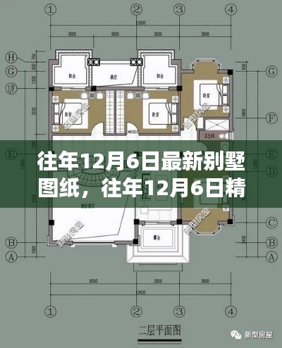 2024年12月7日 第43页