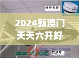 2024新澳门天天六开好彩大全,数据驱动计划解析_动态版5.396