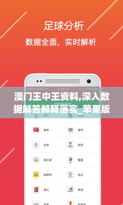 澳门王中王资料,深入数据解答解释落实_苹果版2.311