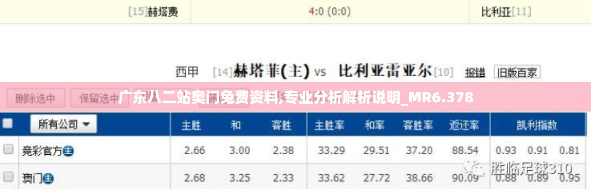 广东八二站奥门兔费资料,专业分析解析说明_MR6.378