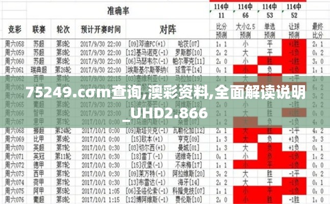 75249.cσm查询,澳彩资料,全面解读说明_UHD2.866