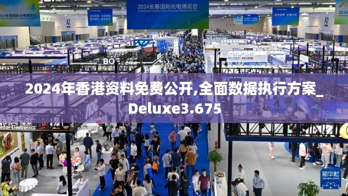 2024年香港资料免费公开,全面数据执行方案_Deluxe3.675