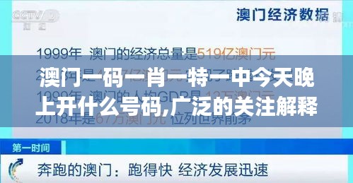 澳门一码一肖一特一中今天晚上开什么号码,广泛的关注解释落实热议_视频版2.652