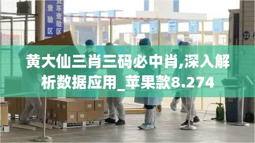 黄大仙三肖三码必中肖,深入解析数据应用_苹果款8.274