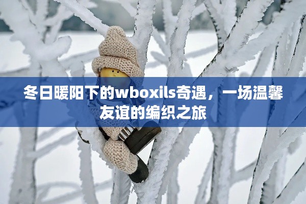 冬日暖阳下的wboxils奇遇，编织温馨友谊的旅程