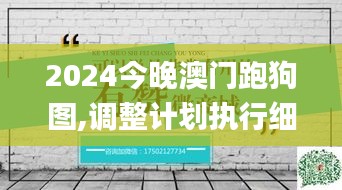 2024今晚澳门跑狗图,调整计划执行细节_开发版15.942