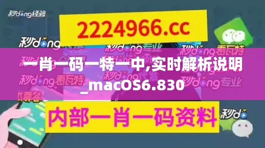 一肖一码一特一中,实时解析说明_macOS6.830