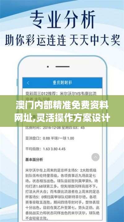 澳门内部精准免费资料网址,灵活操作方案设计_试用版10.399