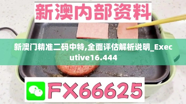 新澳门精准二码中特,全面评估解析说明_Executive16.444