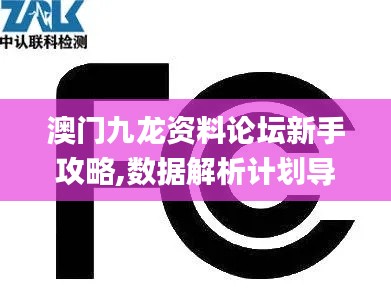 澳门九龙资料论坛新手攻略,数据解析计划导向_Q10.565