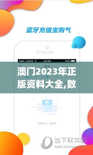 澳门2023年正版资料大全,数据解读说明_高级版8.317