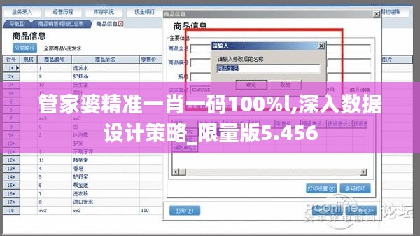 管家婆精准一肖一码100%l,深入数据设计策略_限量版5.456