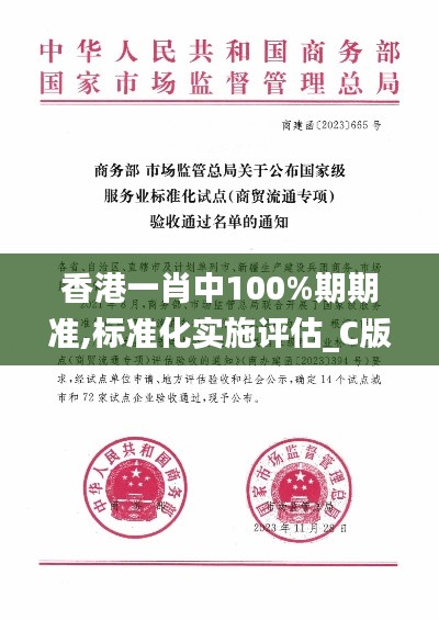 香港一肖中100%期期准,标准化实施评估_C版1.489