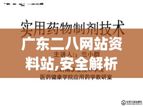 广东二八网站资料站,安全解析策略_桌面版2.902