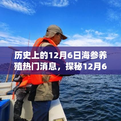 探秘海参养殖盛事，揭秘12月6日海参奇趣秘境与养殖热门消息回顾