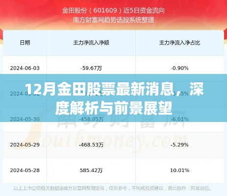 12月金田股票最新动态，深度解析及前景展望