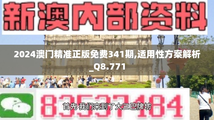 2024澳门精准正版免费341期,适用性方案解析_Q8.771