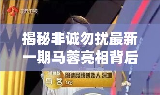 深度解读，非诚勿扰最新一期马蓉亮相背后的故事与选择转变