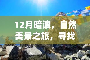 12月暗渡自然之旅，探寻内心宁静与欢笑的秘境