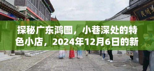 探秘广东鸿图，小巷特色小店的新鲜发现之旅（2024年12月6日）