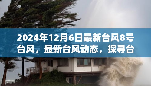 探寻台风路径与影响，以最新台风动态为例（2024年台风8号）