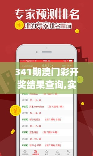 341期澳门彩开奖结果查询,实地计划验证数据_iPhone3.765