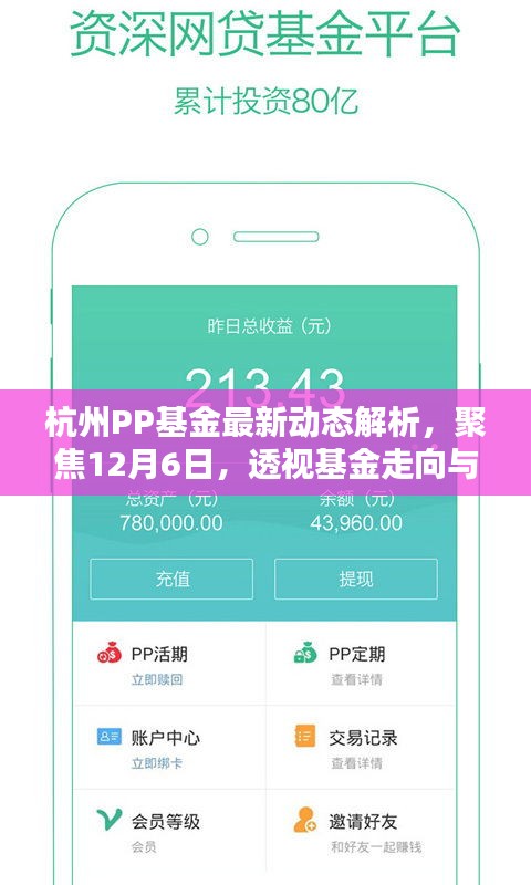 杭州PP基金最新动态解析，聚焦12月6日，洞察基金走向与各方观点热议