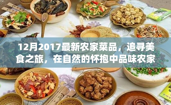 农家美食之旅，追寻自然怀抱中的最新农家菜品魅力