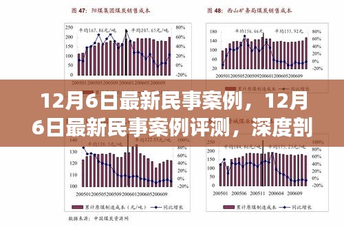 深度解析，最新民事案例特性、用户体验与目标群体——12月6日评测报告