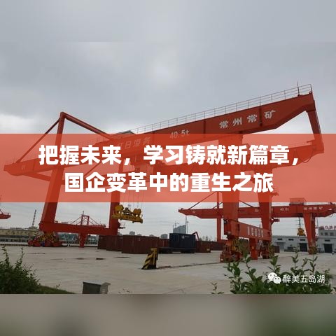 国企变革重生之旅，学习铸就新篇章，把握未来之路