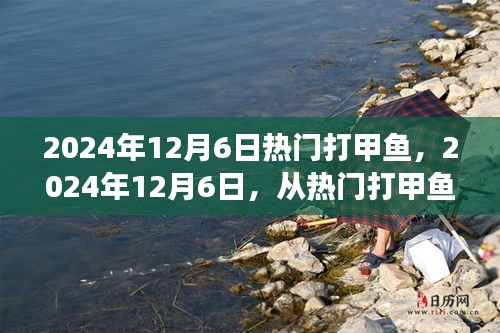 从热门打甲鱼到人生巅峰，学习变化成就自信与辉煌的旅程（2024年12月6日）