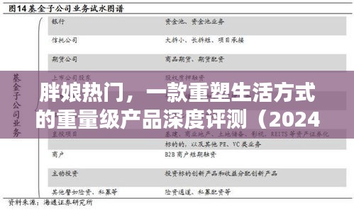 2024年12月7日 第3页