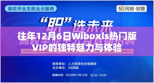 Wiboxls热门版VIP的独特魅力与超凡体验揭秘