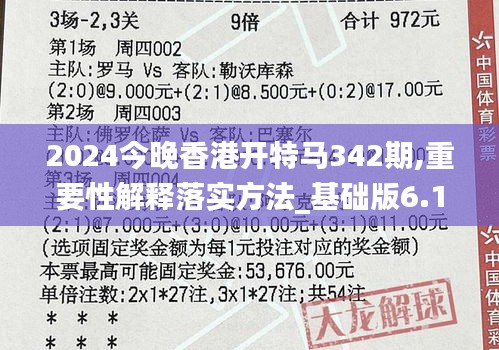 2024今晚香港开特马342期,重要性解释落实方法_基础版6.159