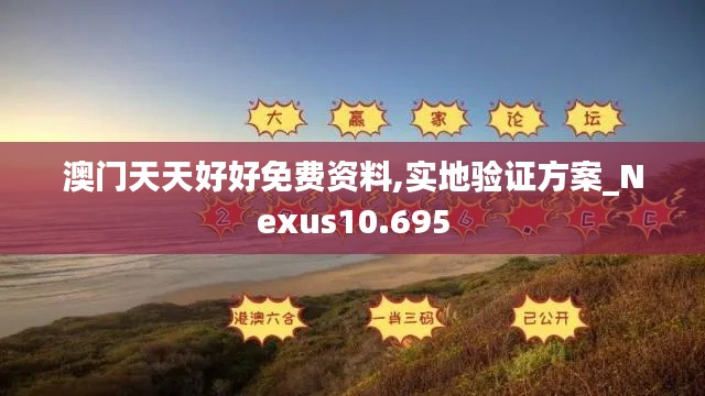 澳门天天好好免费资料,实地验证方案_Nexus10.695