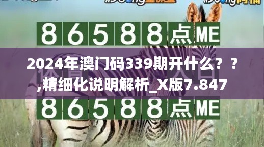 2024年澳门码339期开什么？？,精细化说明解析_X版7.847