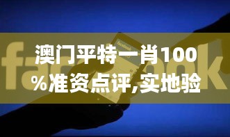 澳门平特一肖100%准资点评,实地验证执行数据_入门版6.163