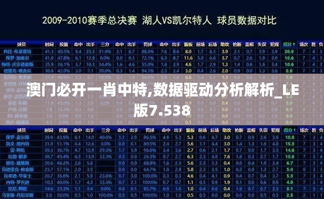 澳门必开一肖中特,数据驱动分析解析_LE版7.538