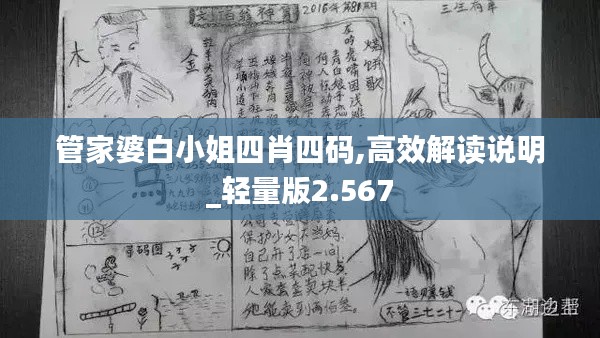 管家婆白小姐四肖四码,高效解读说明_轻量版2.567