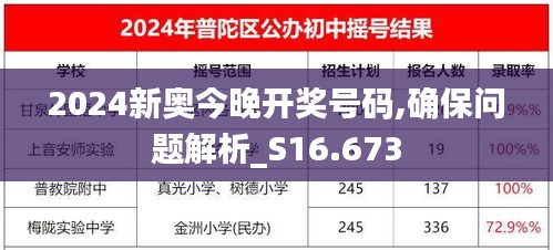 2024新奥今晚开奖号码,确保问题解析_S16.673