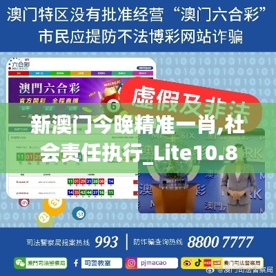 新澳门今晚精准一肖,社会责任执行_Lite10.824