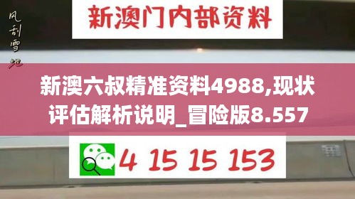 新澳六叔精准资料4988,现状评估解析说明_冒险版8.557