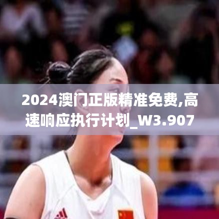 2024澳门正版精准免费,高速响应执行计划_W3.907