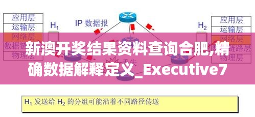 新澳开奖结果资料查询合肥,精确数据解释定义_Executive7.867