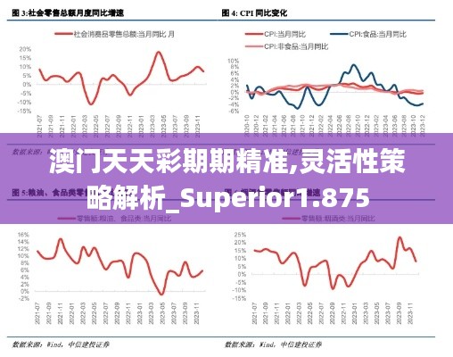 澳门天天彩期期精准,灵活性策略解析_Superior1.875