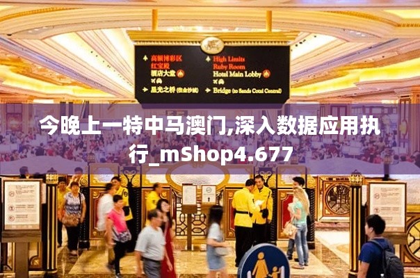 今晚上一特中马澳门,深入数据应用执行_mShop4.677