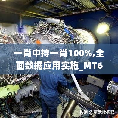 一肖中持一肖100%,全面数据应用实施_MT6.462