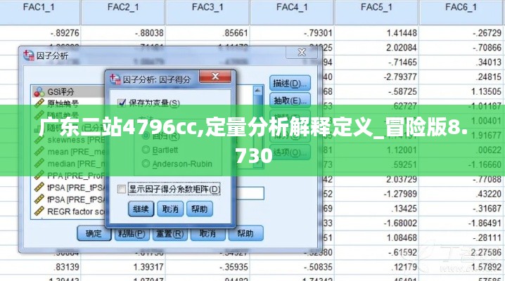 广东二站4796cc,定量分析解释定义_冒险版8.730