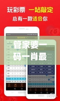 管家婆一码一肖最准资料,最新调查解析说明_创意版5.556