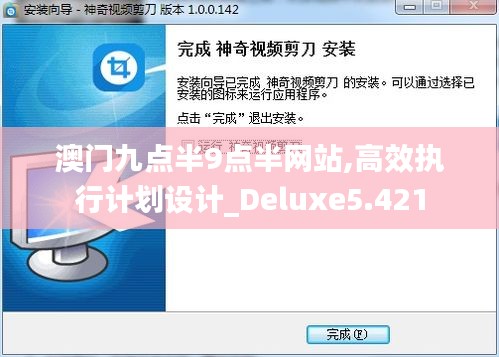 澳门九点半9点半网站,高效执行计划设计_Deluxe5.421